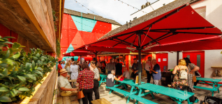 Root Festival May 2026